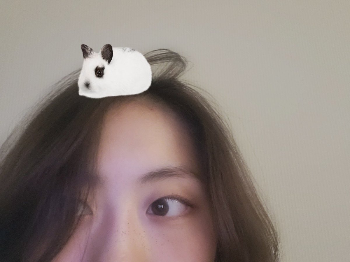 lua_unvrse's tweet image. [🌈✨] 06.16.2022 FNS Update

I’m not sleeping. I’m playing with the rabbit.

#LUA #루아 #WEKIMEKI #위키미키