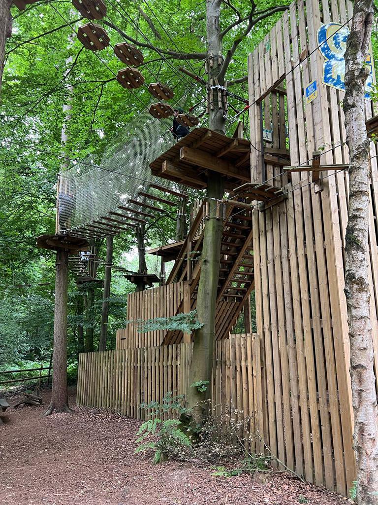 Y6 testing their skills at Go Ape. 🙈