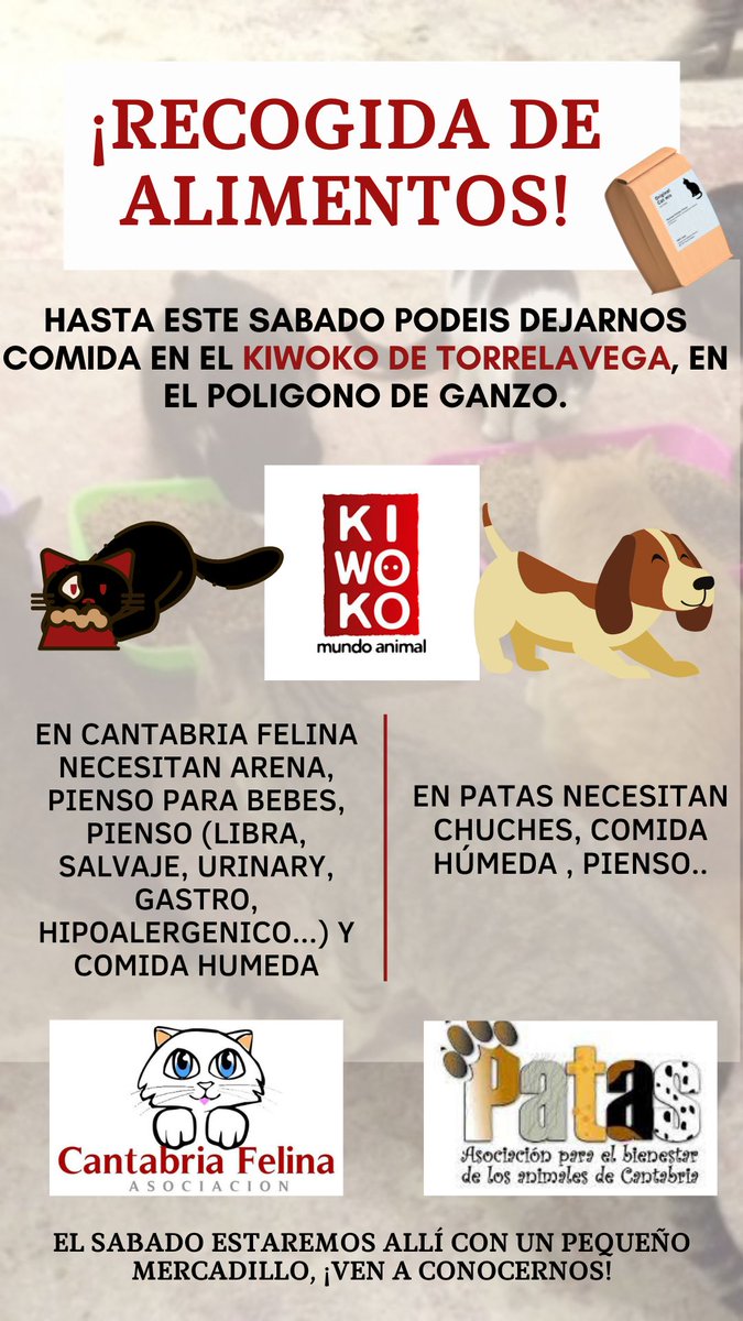 CantabriaFelina's tweet photo. ‼️RECOGIDA DE ALIMENTOS‼️
Ubicación: @kiwoko Torrelavega
Ya puedes pasarte y dejar tu granito de arena para nuestros bichos y los de @ProtectoraPATAS.
Este sábado estaremos todo el día con un pequeño mercadillo y recogiendo vuestras donaciones.
Gracias❤️
#Cantabria
#27Junio https://t.co/sKpDxgXu2D