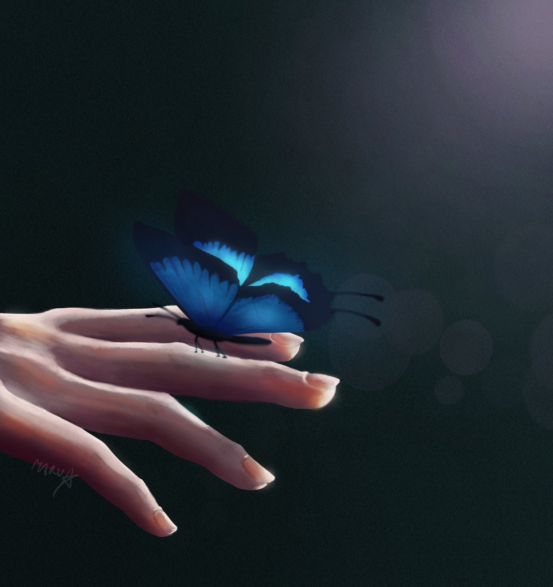 maruphobiart's tweet photo. butterfly 🦋 https://t.co/IPrj3XWNCr
