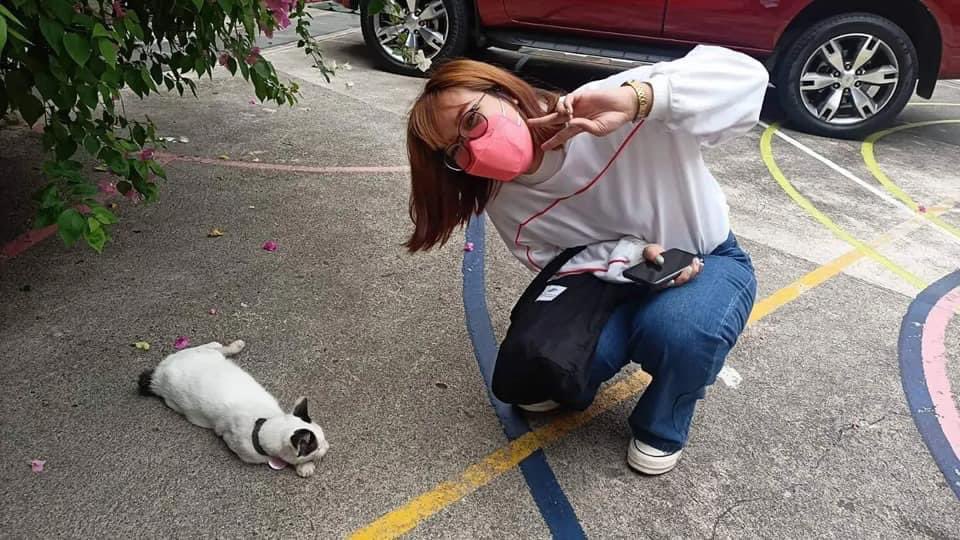 CEUcats's tweet photo. Our new volunteers *insert marc & joelle* visited the university cats..
cant wait for the face to face class to resume so that we can take care the cats just like during the pre pandemic era 😿
#CEUcats https://t.co/SFVOcVSYZW