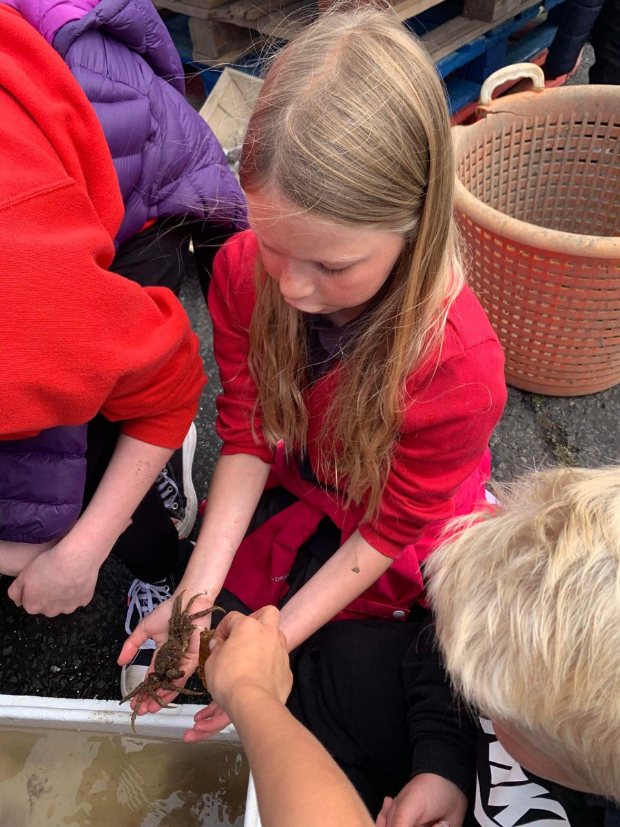Park Primary School tweet media