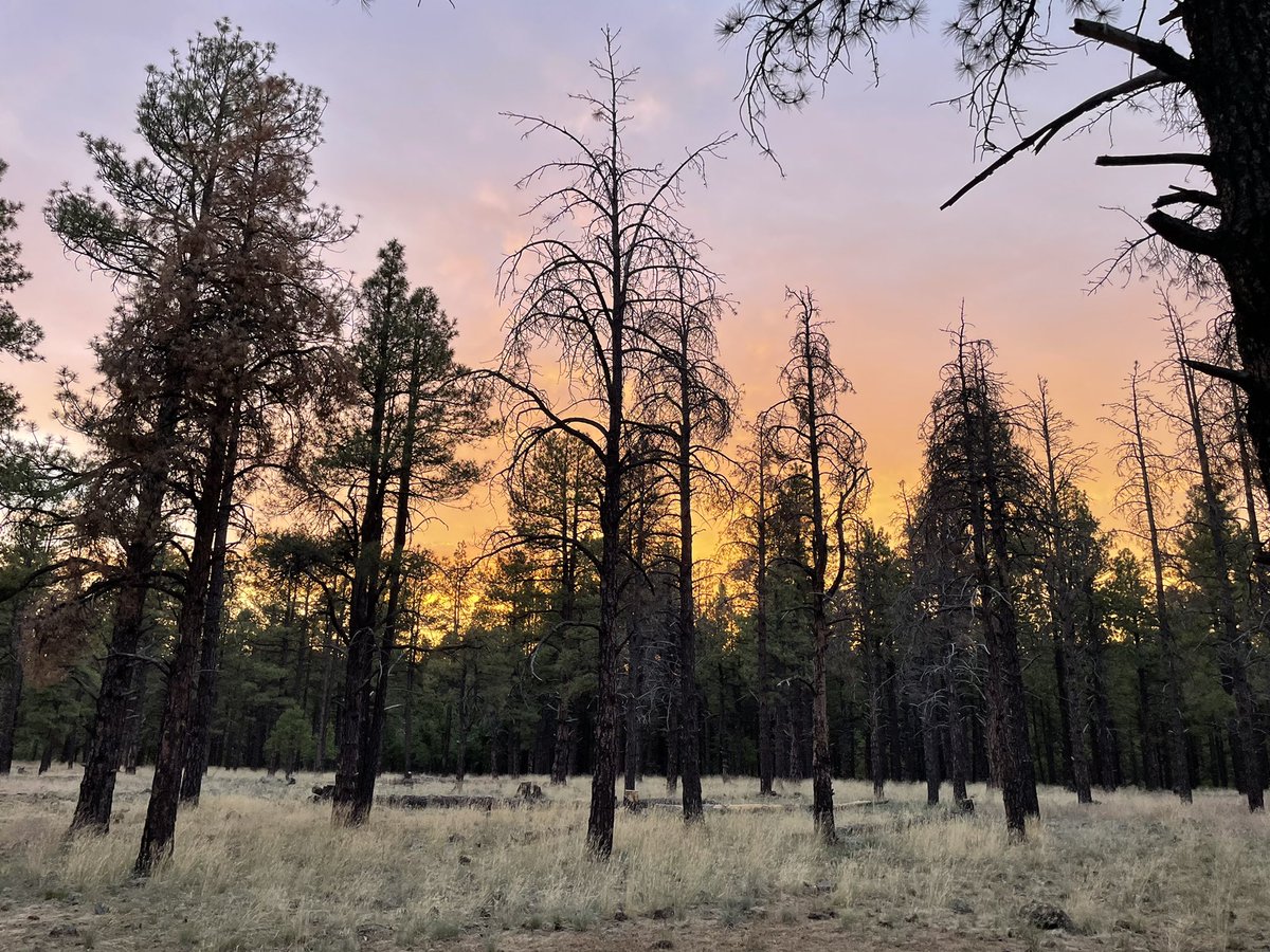 ALongCrimeAgo's tweet image. “When the sun has set, no candle can replace it.” - George R.R Martin

#truecrimepodcast #truecrime #murder #crime #applepodcasts #spotifypodcasts #pandorapodcasts #thehusbanddidit #chilling #allthecrime #oldcrimer #truecrimefan #truecrimecommunity