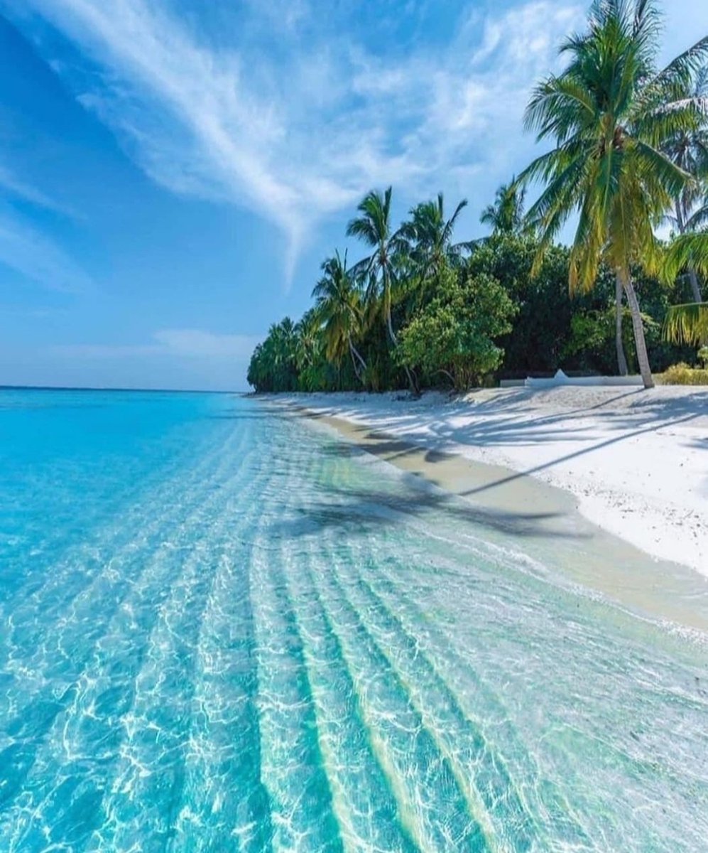 VictoriaSanfoin's tweet photo. Paradise found >🏝 #VS https://t.co/Yi0ngrlxv8