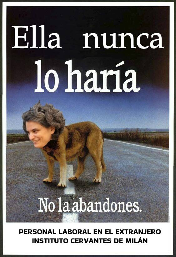 Ana Lopez Lindstrom tweet media