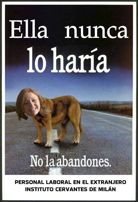 Ana Lopez Lindstrom tweet media