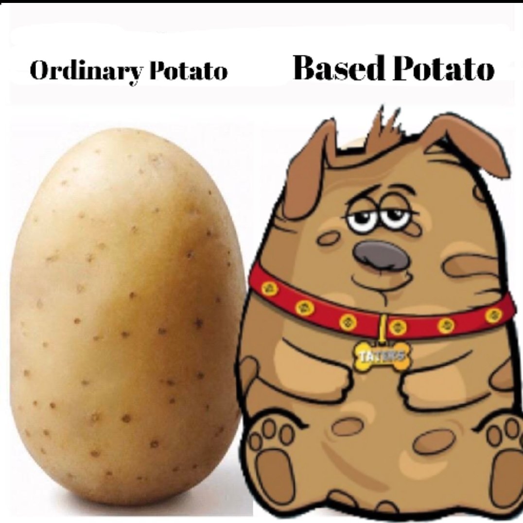 flipz_101's tweet photo. @AltGemHunter @TaterInu hold those $TATERS and watch them grow! Bullish week ahead ๐ฅ๐ฅ #TaterInu https://t.co/olwuAs3Fiu