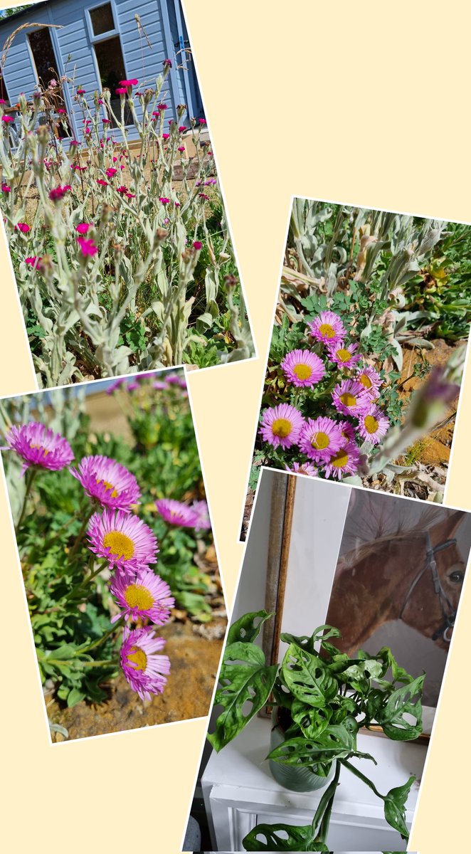 Pathways_Coach's tweet photo. Self care... Cleansing your space, whether your home or your home office... spend an afternoon with me making smudge sticks... Catherine@clear-pathways.co.uk for more information #cleansingenergy #MotherNature #workingwithlavender https://t.co/K1UHkEMI0g