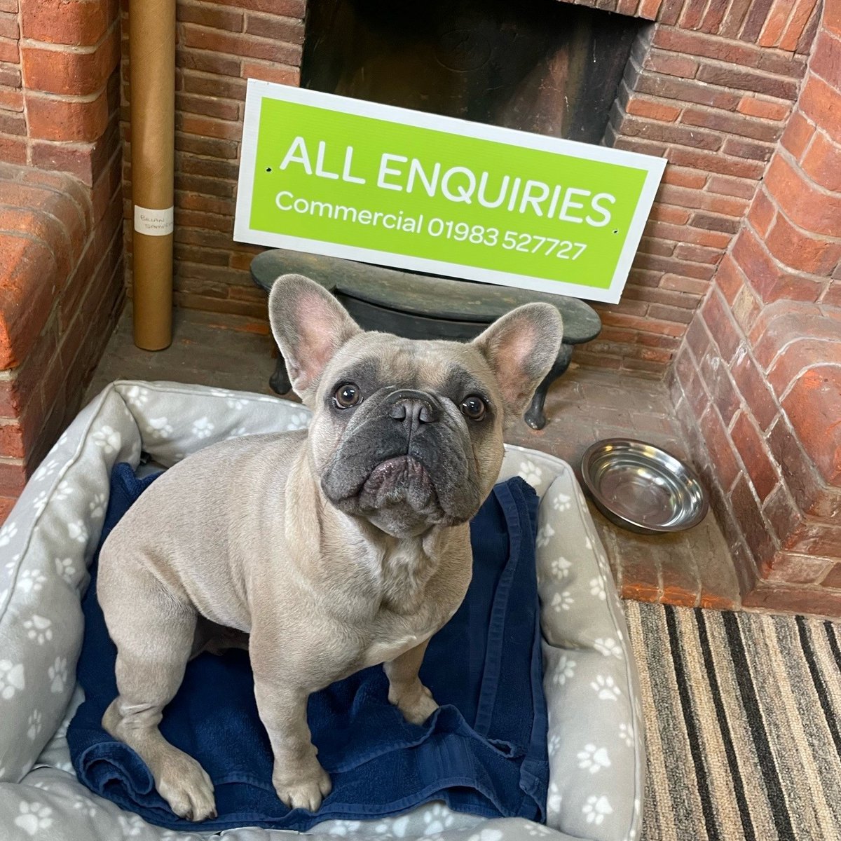 Hose Rhodes Dickson tweet media