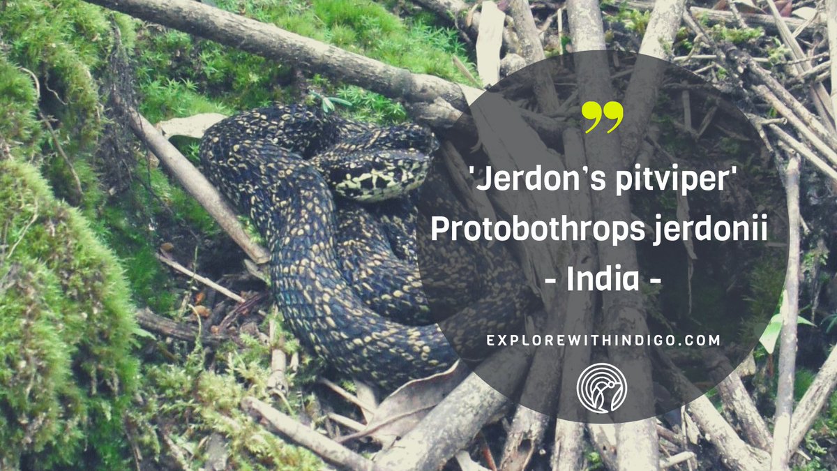 exploreindigo photo