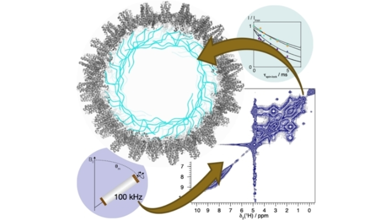 ETH Solid-State NMR on X: Looking forward to Kathrin Aebischer's