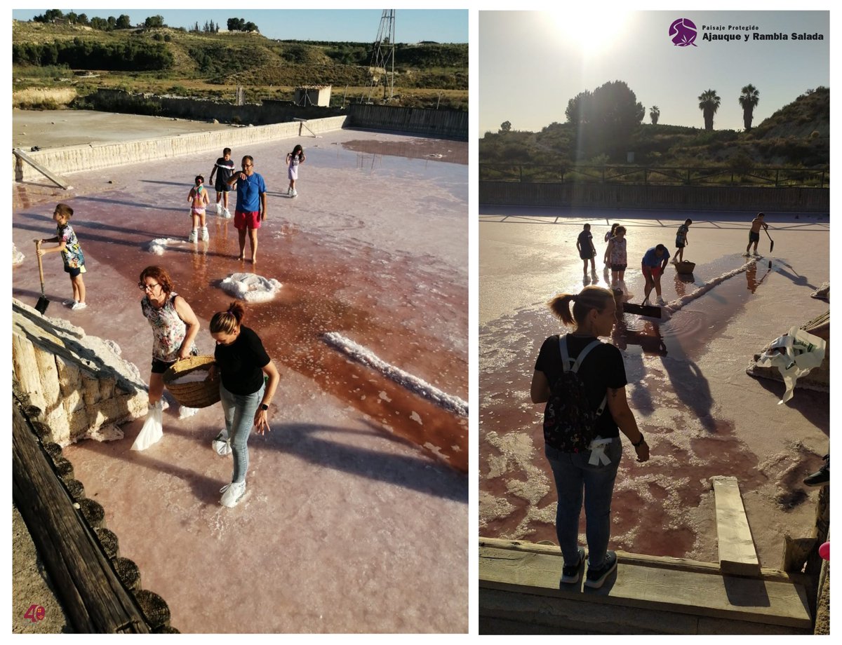 EspNaturalesMur's tweet photo. 😃 Este fin de semana algunos asistentes junto a la #AsociaciónLaCarraca recogieron la cosecha en pleno solsticio de verano en el #PaisajeProtegido #Humedal de #Ajauque y #RamblaSalada ☀️ https://t.co/Qej4gHjPIh