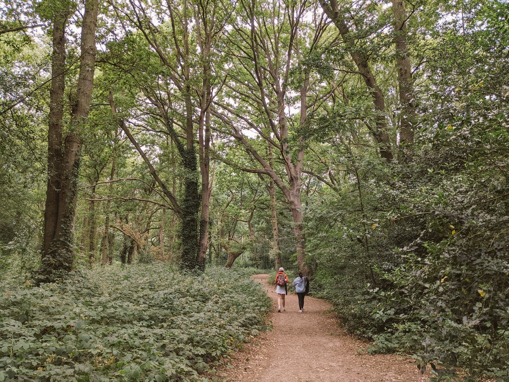 urbanparksgirl's tweet photo. Sometimes you want to escape London's madding crowd without leaving London. #sheencommon #urbangreenspace #urbanwoodlands @LBRUT https://t.co/HmMVMc8Ejv