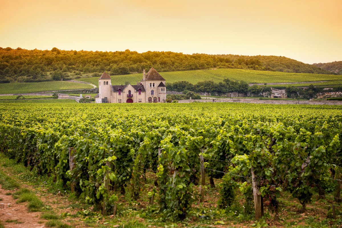 Read the latest Sustainable Wine News Summary: On sustainable development in the Médoc, a candid take on carbon farming, progress in wine packaging, and more bit.ly/3QT3PFK