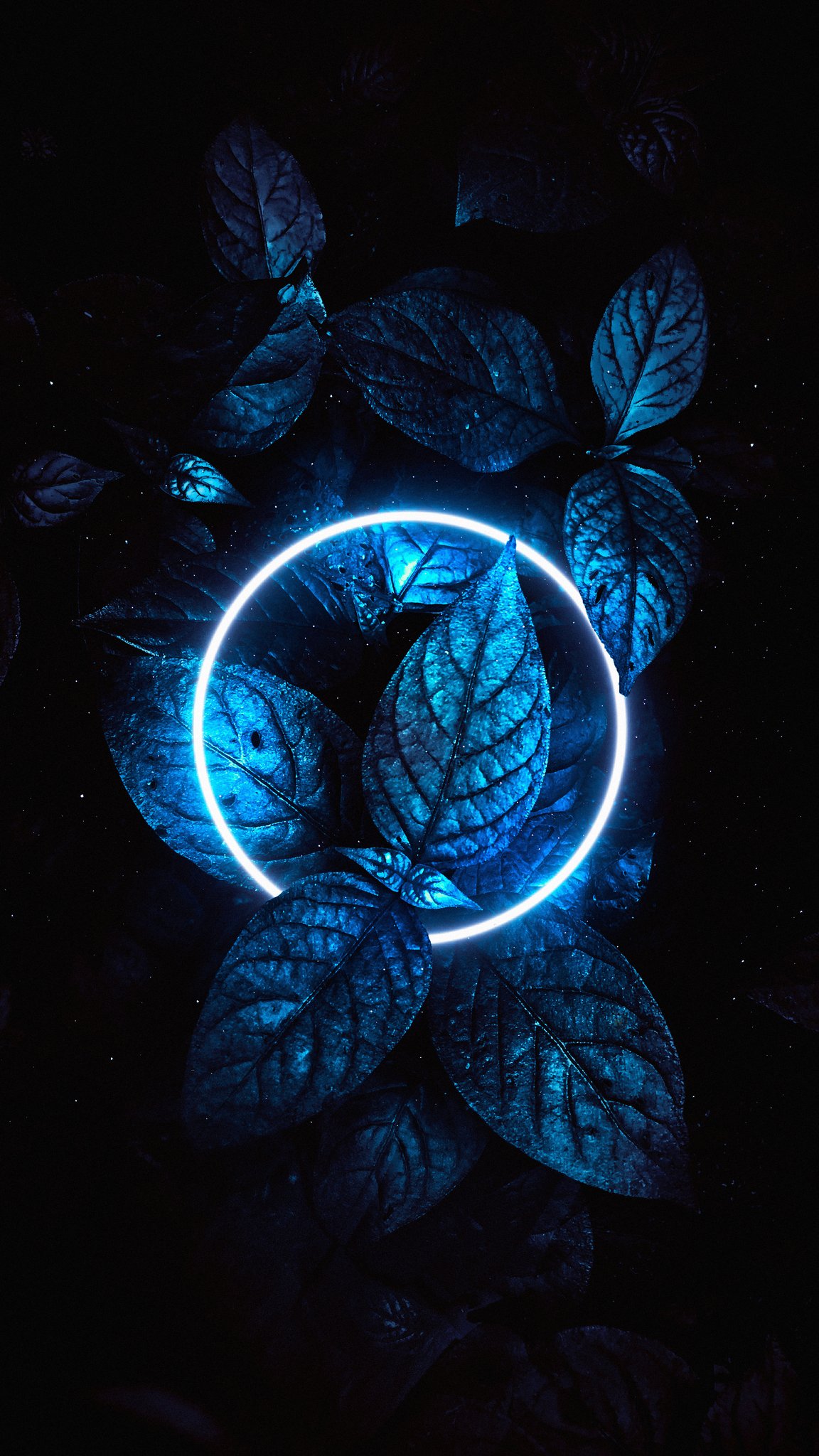 Aggregate 80+ dark neon wallpaper best - 3tdesign.edu.vn