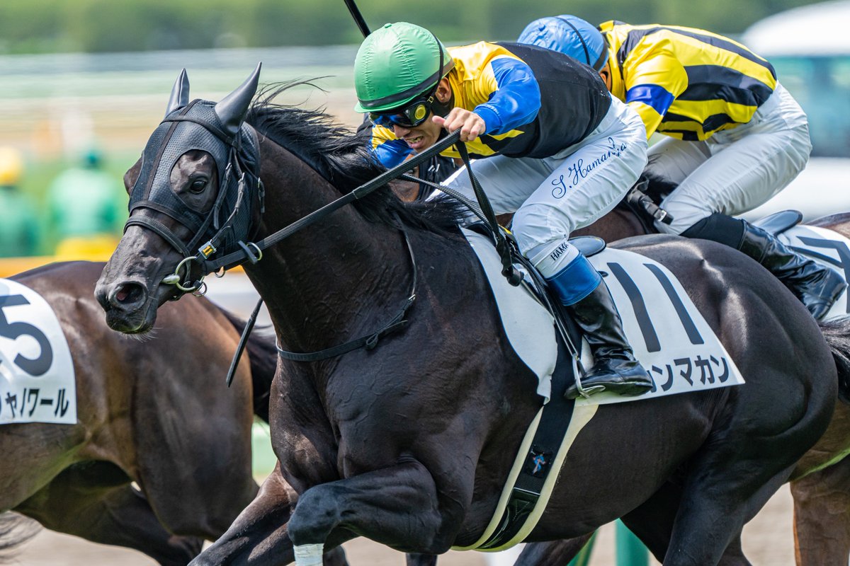 最新 JRA 競馬 レプリカ 勝負服 ディープインパクト 武豊騎手 金子真人