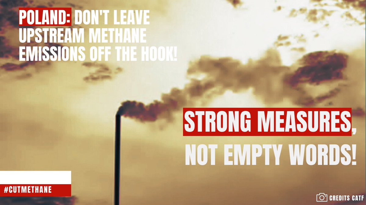 The time to act is NOW @moskwa_anna! Empty words and half baked solutions to Cut #Methane emissions are a death sentence for the people and the planet🌍! @EUCouncil, we need an ambitious #MethaneRegulation!  #CutMethaneEU @KadriSimson