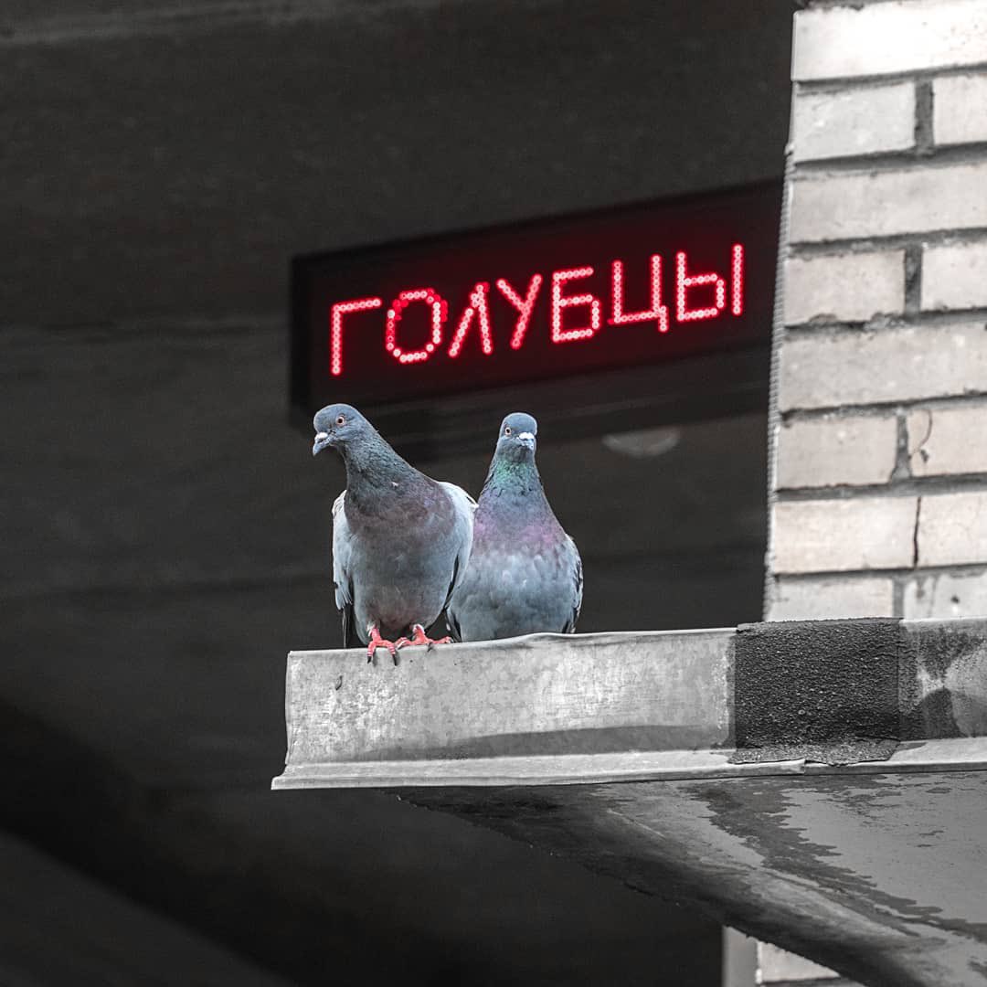 Стена говорит (@stenagovorit) on Twitter photo 