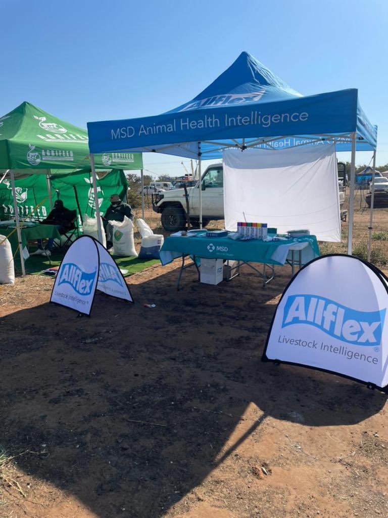 Allflex Livestock Intelligence Sub-Saharan Africa tweet media