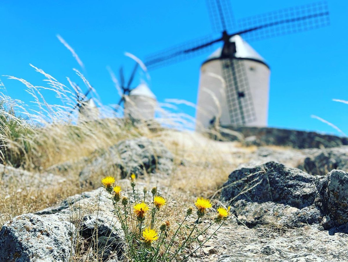 LydiaABlack's tweet photo. I ❤️ España! 🇪🇸 #travel #roadtrip #windmills #castles #cathedrals #mosques #Wanderlust https://t.co/Wc90z5NYAK