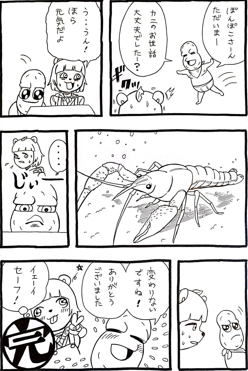 蟹のお世話を頼まれたぽんぽこさん漫画
#オシャレになりたいピーナッツくん 
#ぽこあーと 