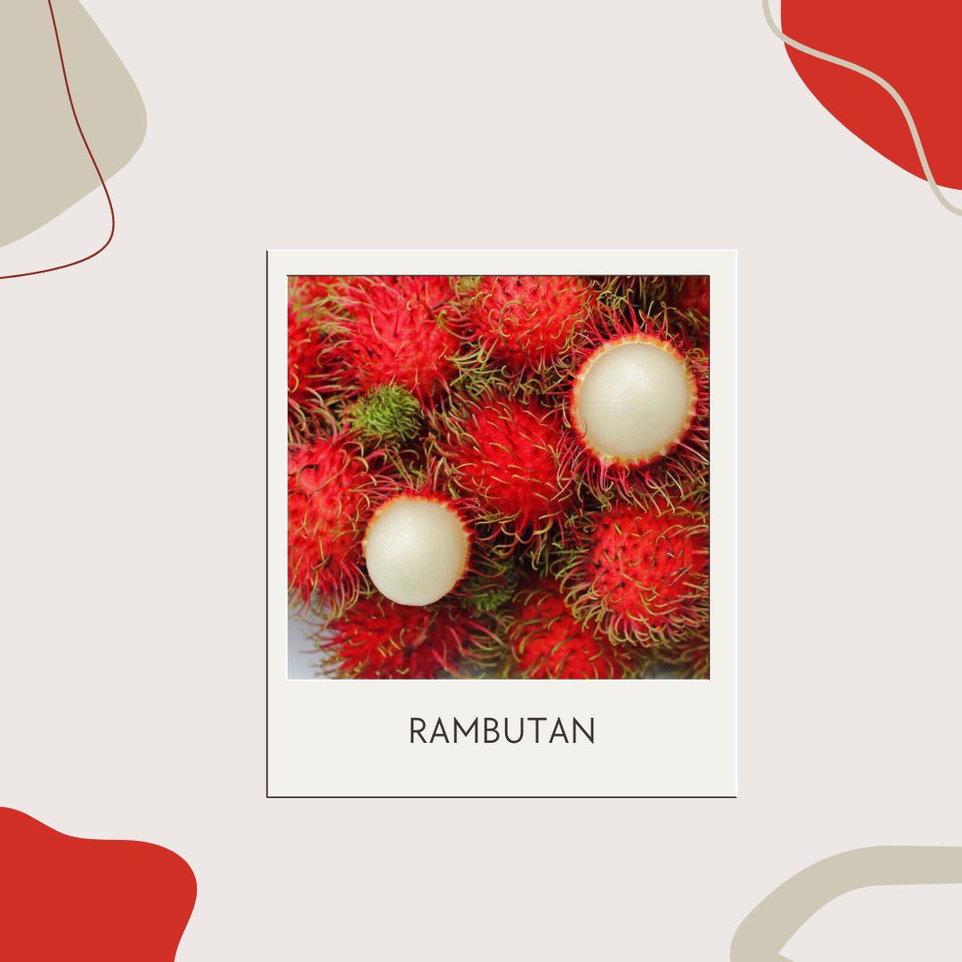 artjam_com's tweet photo. Theme: Sea of Rambutan

Rambutan is a Southeast Asian fruit that coincides with the durian season. 

It is really special to @avkoay as it offers him with so much love, warmth, and sweetness that he can relate to life in some way.

#artjam #nftakeover #nftcrypto #nftproject https://t.co/851BGwlAXJ