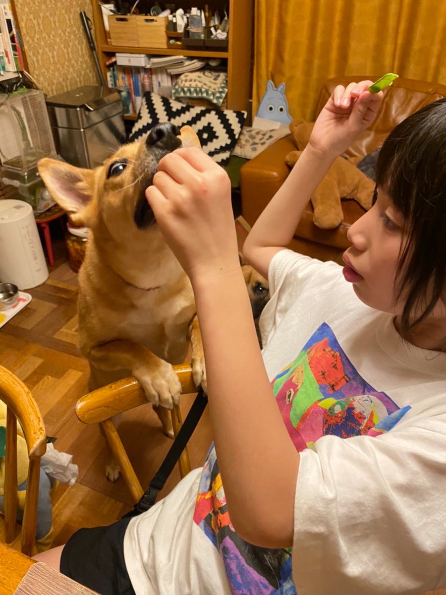 片桐仁なう on X