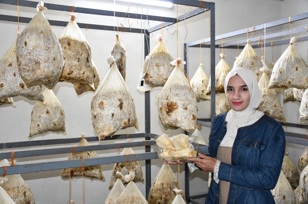 GermanyinIraq's tweet photo. Today, we celebrate 🌍#MSME_Day 🎉
Germany supports 🇮🇶 in establishing & expanding local startups, because private sector growth creates jobs, strengthening stability. The GIZ-implemented #P4E programme assists entrepreneurs develop their #BIZ and help the economy flourish 📈 https://t.co/E3wkSBwOqC