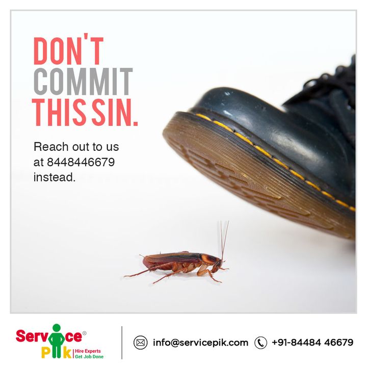 pik_service's tweet photo. Cockroach may be annoying, but, stepping on them is not fair! Get in touch with #ServicePik pest control team at info@servicepik.com to book a session.
#pestcontrolservice #cockroach #pests #pestcontrol #share #instalike #sodelhi #viral #hygiene https://t.co/vS3ty9QHyg