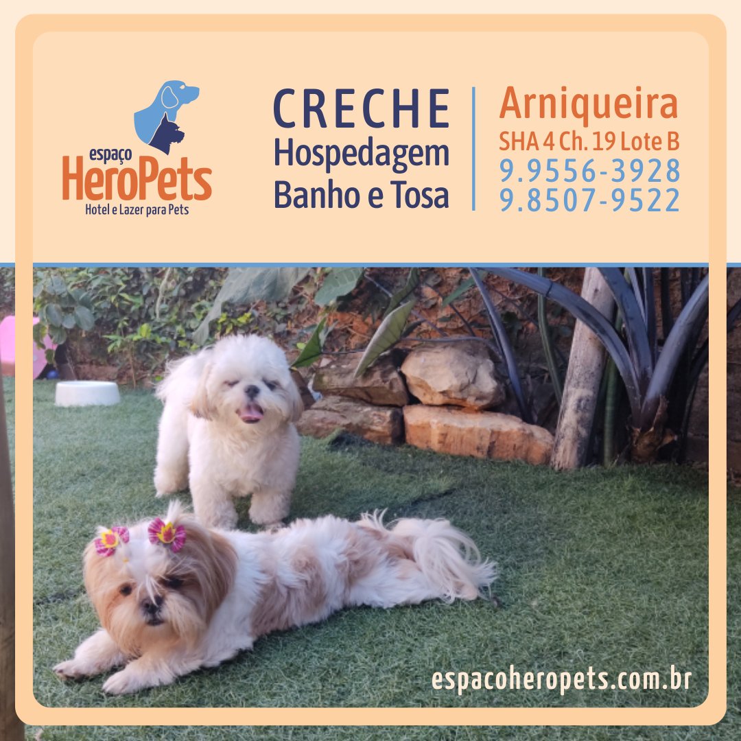 EspacoHeroPets's tweet image. Espaço para seu Pet 🐾 com estrutura para brincar e fazer amizade. Ou apenas para relaxar com um super banho. 🐶 Venha conhecer: EspacoHeroPets.com.br.