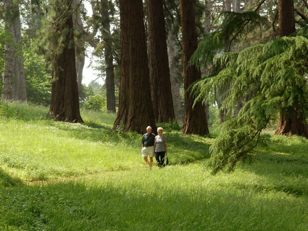 EASTNOR Mellow Days are back.

Visitors can enjoy a tranquil visit on selected days in the summer as Eastnor Castle once again opens for Mellow Mondays.

Find out more here:
eatsleepliveherefordshire.co.uk/event-pro/east…

#herefordshire #herefordhour #walks #walking 
<a href="/EastnorCastle/">Eastnor Castle</a>