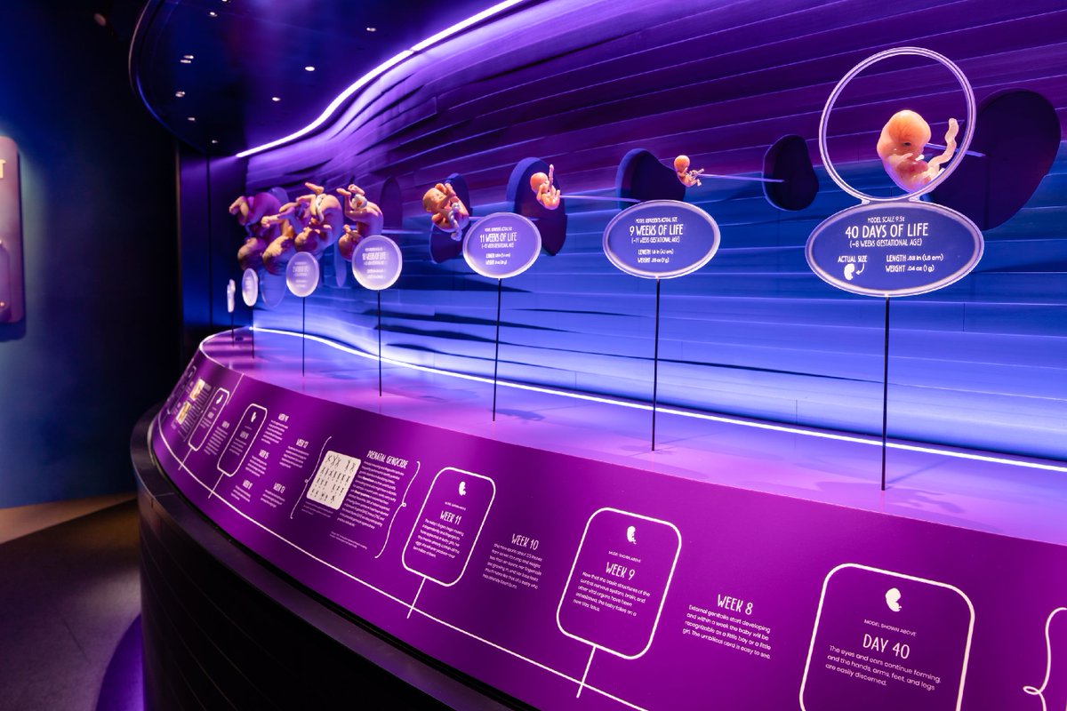 aigkenham's tweet image. Visit @CreationMuseum  &amp;amp; learn from both science &amp;amp; the bible that human life (made in God's image) begins at fertilization. Learn about God's mercy &amp;amp; forgiveness for those who have not obeyed God's Word. "I praise you, for I am fearfully and wonderfully made" (Psalm 139:14).