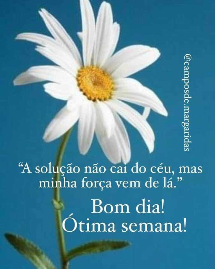 José Fernando Sobrinho (@josfernandosob4) on Twitter photo 