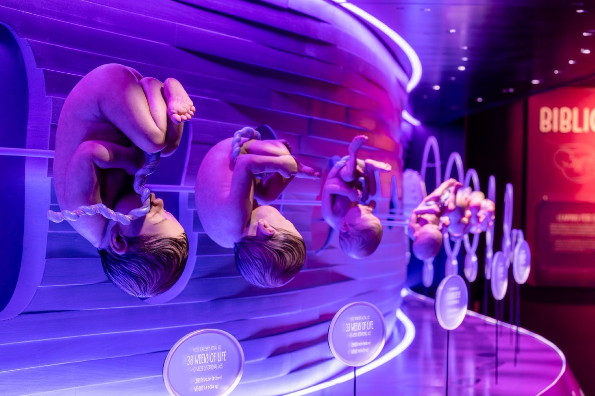 aigkenham's tweet image. Visit @CreationMuseum  &amp;amp; learn from both science &amp;amp; the bible that human life (made in God's image) begins at fertilization. Learn about God's mercy &amp;amp; forgiveness for those who have not obeyed God's Word. "I praise you, for I am fearfully and wonderfully made" (Psalm 139:14).