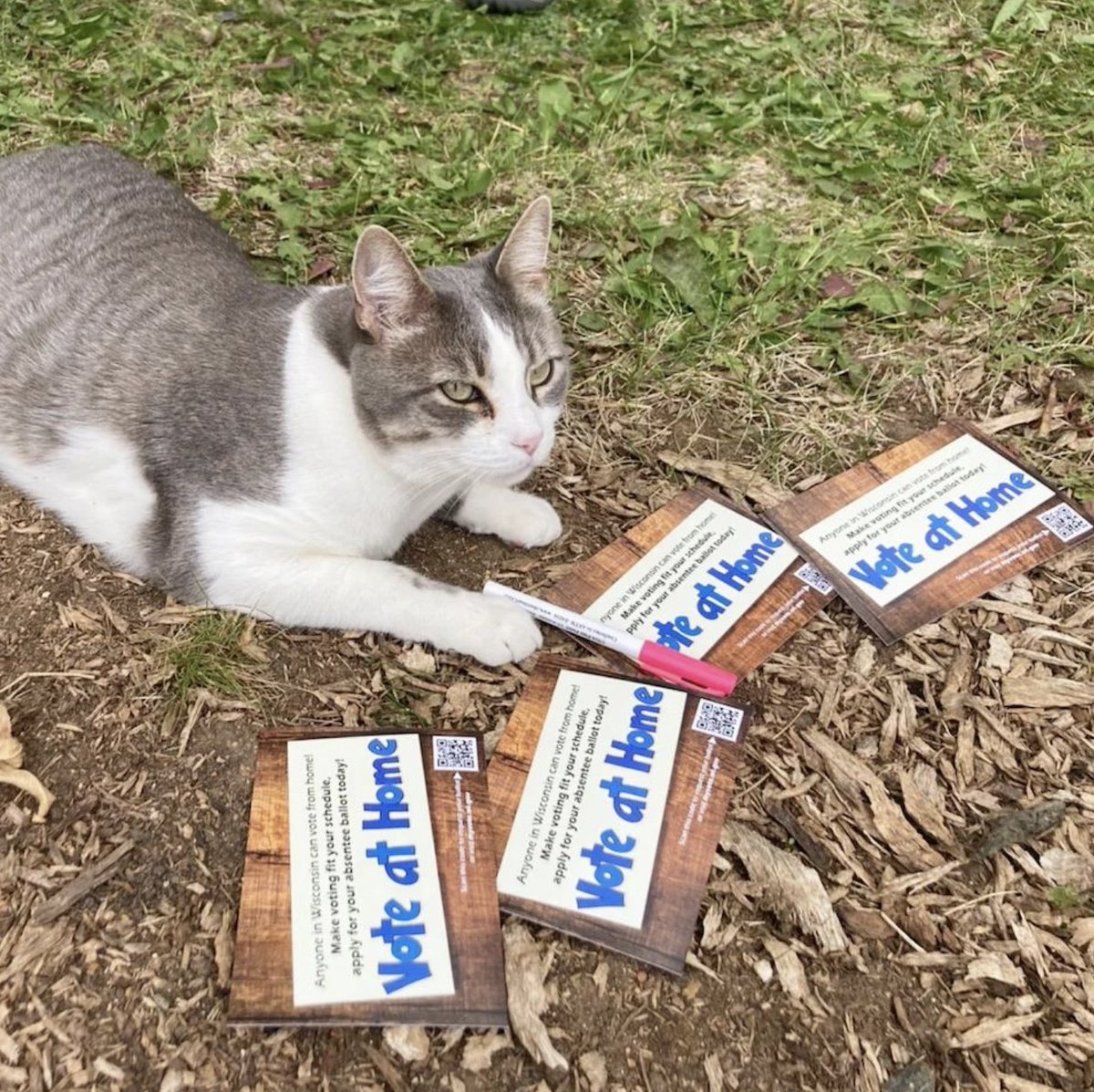 Blue Wave Postcards tweet media