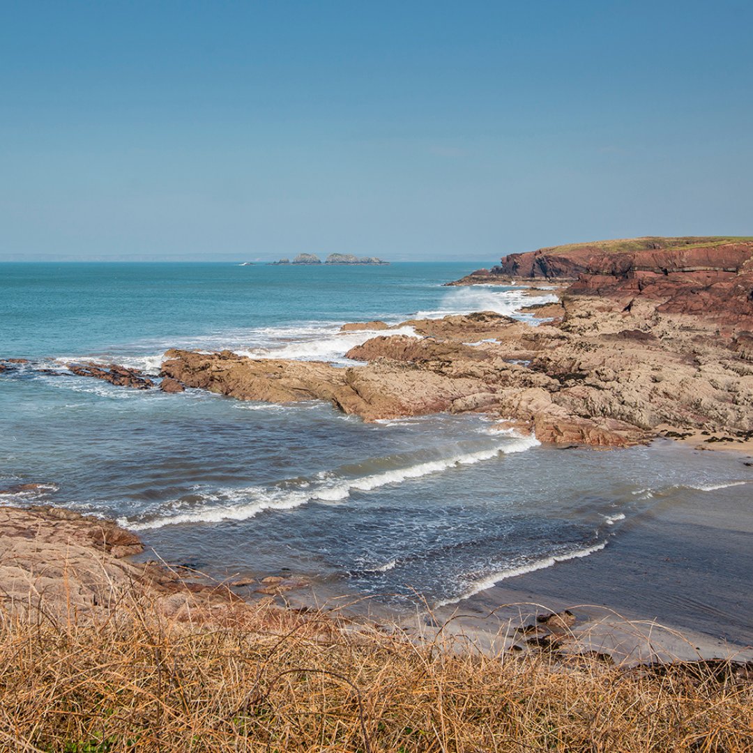 coastalcottages's tweet photo. Have you started counting down to your Pembrokeshire #SummerHoliday? โ๏ธ
โ
There is so much to do here like surfing, walking & beach days ๐๏ธ So if you haven't booked yet, why not spend #AugBankHol here? https://t.co/5tHU4pA7hK
#visitpembrokeshire #visitwales #coastalcottages https://t.co/HfkeJfws94