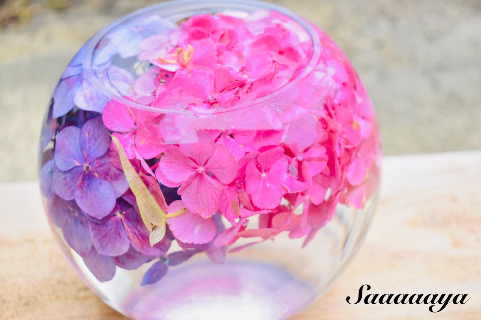 さーや 般若寺 紫陽花 コスモス そして ガラスボール が見たくて行ってきました ガラスボール素敵 紫陽花も可愛くて幸せな休日 奈良 般若寺 紫陽花 ガラスボール ファインダー越しの私の世界 写真撮ってる人と繋がりたい