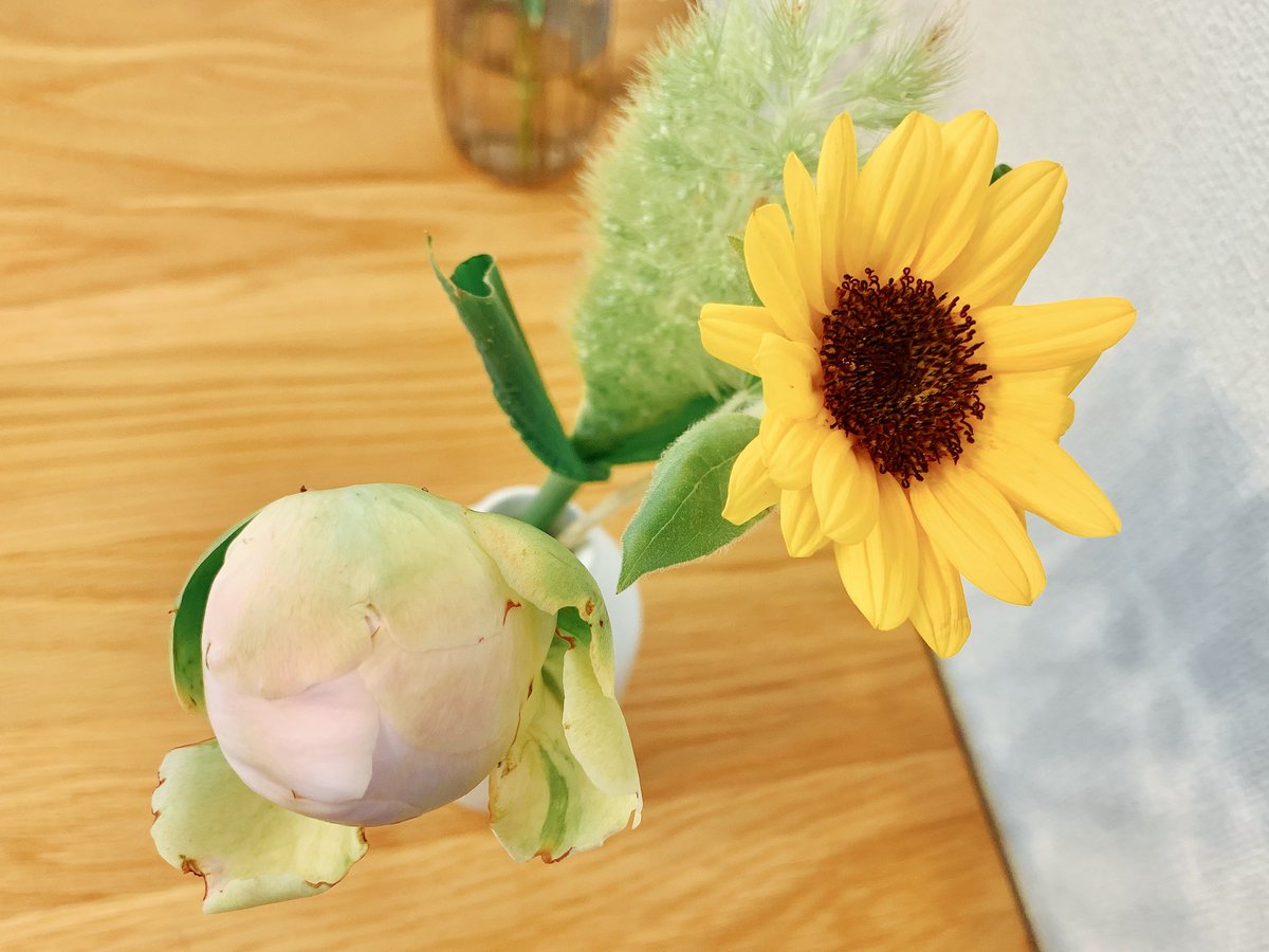 raku_hapi's tweet photo. 今回の #タスハナ で届いたシャクヤク✨
少しずつ開きそうな兆し…！

ひまわりもキレイ🌻

#花のある生活 
#花の定期便
#tasuhana https://t.co/ax4K3SG93s