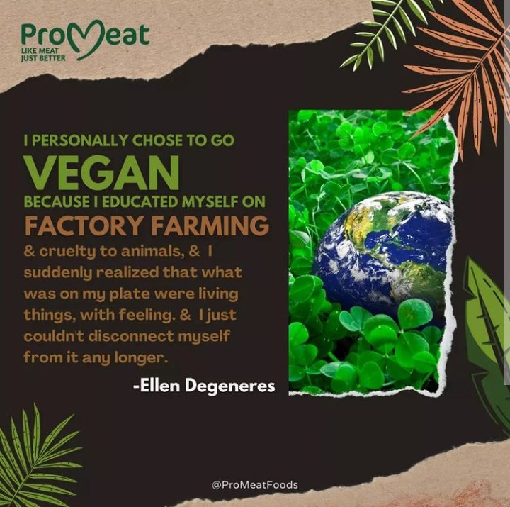 ProMeatFoods's tweet photo. A vegan lifestyle prevents a tremendous amount of animal slaughter and suffering. 

What is your point of view on this?
Write in comment section 👍
.
.
.
#veganfood #veganfoodshare #veganfoodlovers #veganfoodspot #veganfoods #veganfoodlover #veganfoodblog #veganfoodblogger https://t.co/SXOKPtClZB