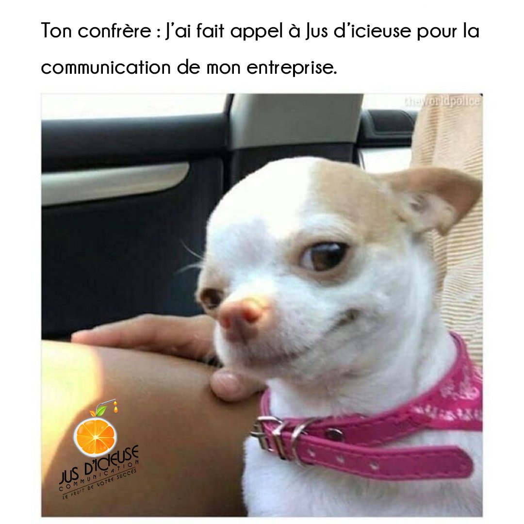 Jusdicieusecom's tweet photo. Quand votre confère ou votre consœur vous nargue, il ne faut pas vous laisser faire lol.
Contactez-moi pour faire un point sur votre com d'entreprise : https://t.co/fJ6mUYTRa7
#jusdicieusecom #communication #business #developpement #marketing #strategie #satisfaction #entreprise https://t.co/294iy3NfyQ