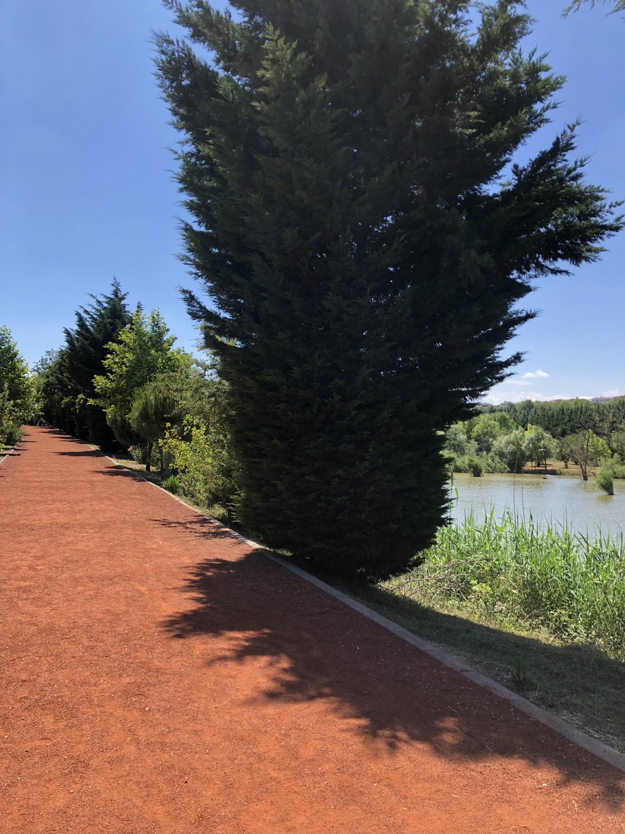 Yaşasın yürüyüş