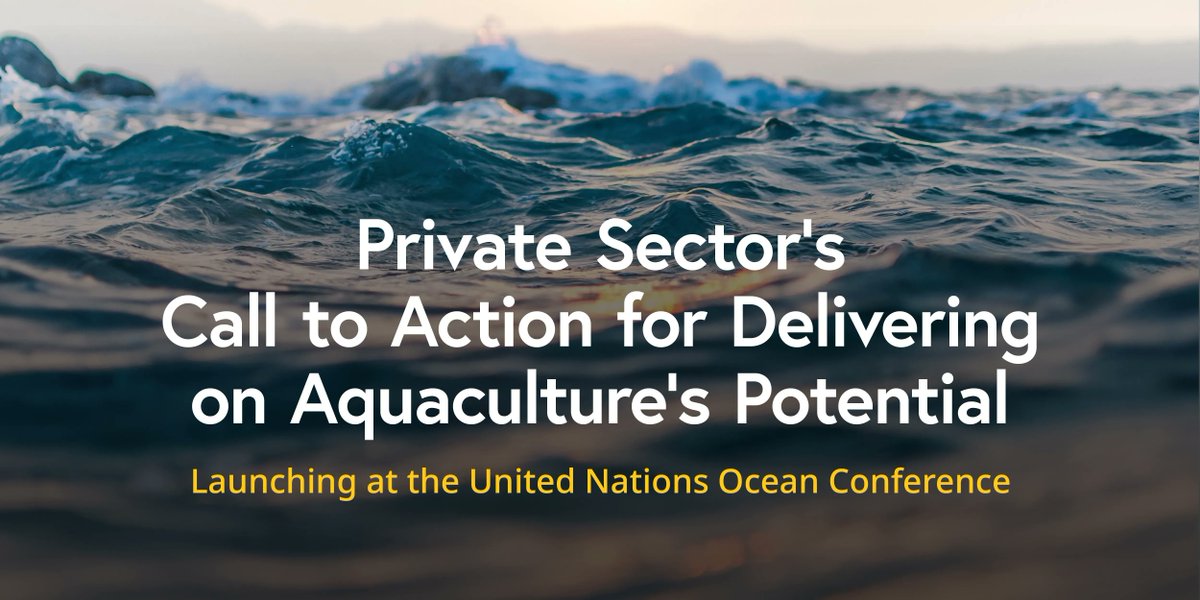🚨We're proud to join fellow aquaculture leaders in launching a global Call to Action for purpose driven #aquaculture at the #UNOC2022. Learn more about our 8⃣action areas and what they'll mean for the future of #bluefoods buff.ly/3tU50uO