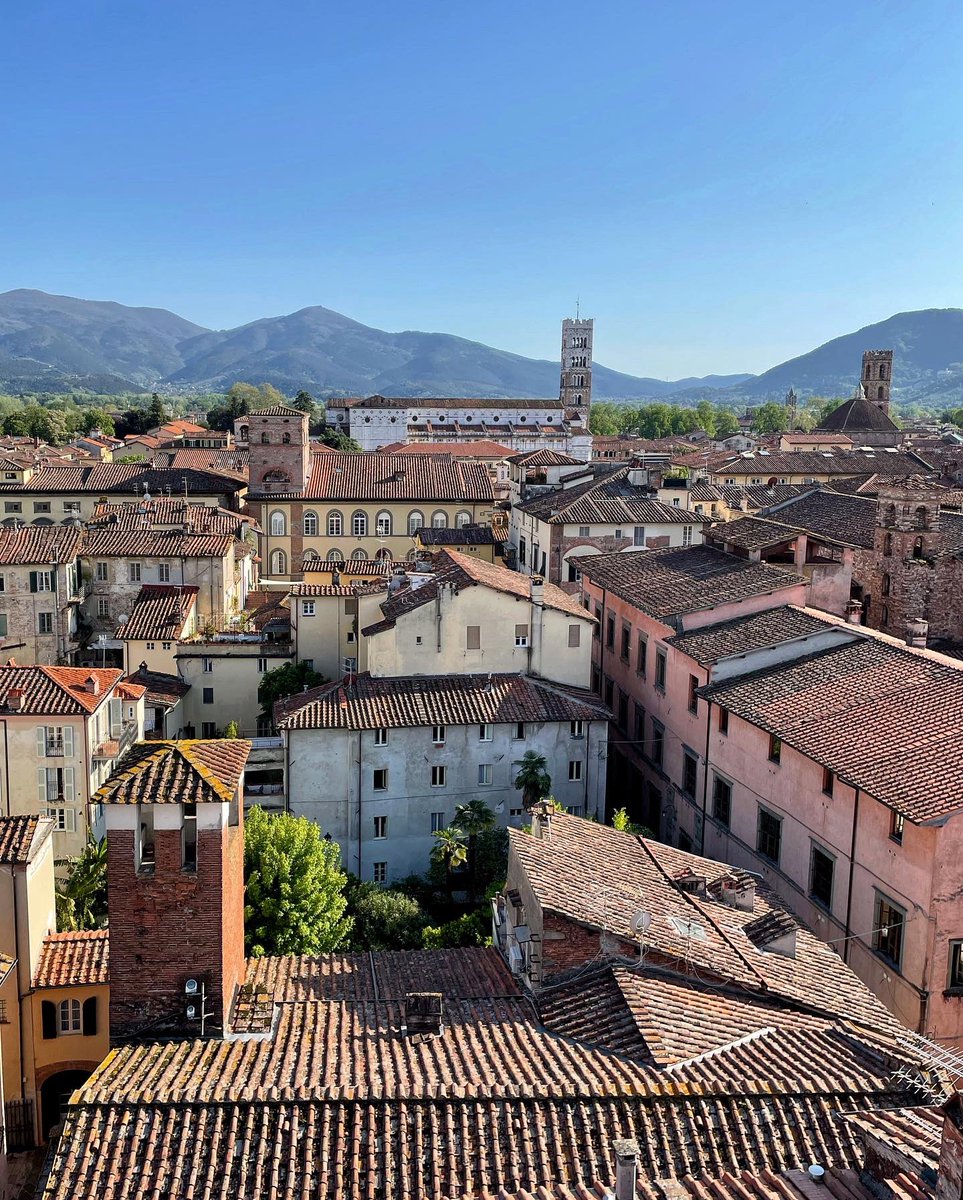 srake85's tweet photo. Posti speciali e la semplice bellezza toscana.
- Special places and the simply Tuscany beauty.
- Lugares especiales y la simple belleza toscana.

📍#TorreGuinigi, #SanMicheleinForo e #PiazzaAnfiteatro, #Lucca, #Toscana, #Italia.

👉🏻 cosa vedere a Lucca? https://t.co/vNXBTz2YPK https://t.co/beLWI6kYRD