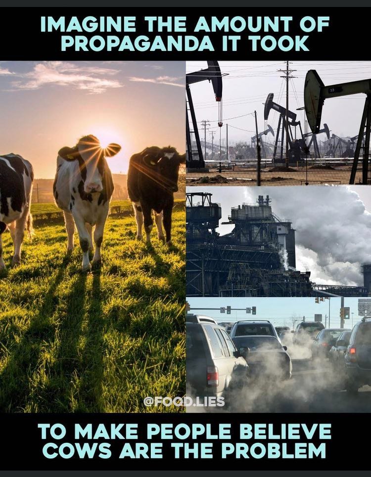 #boerenopstand #StikstofPropaganda