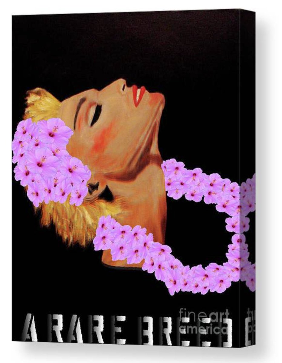 CatalinasArt's tweet photo. A Rare Breed 43/ Miss Hula w/text rt. turn By; Catalina Walker
Check out this canvas print on https://t.co/a88yONJrq2! https://t.co/VuzZEhWPRF #art #wallart #artist #abstract #artistonwitter #classy #totebags #phonecase #Abstractexpressions #phoneaccessories #decor #homedecor https://t.co/WiXFoIcPbv