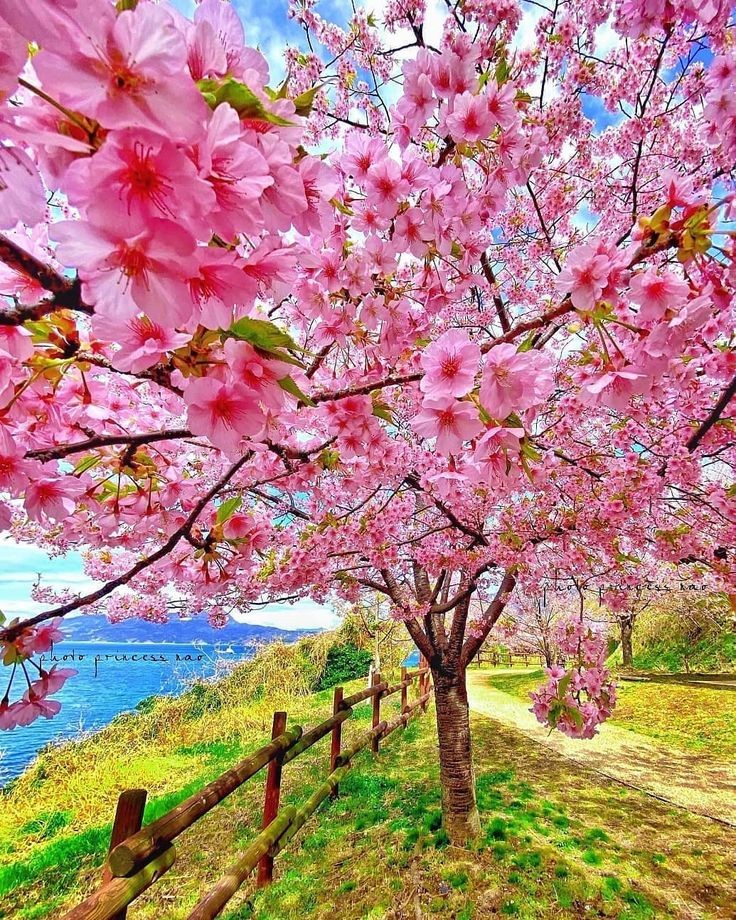 Ktia80836267's tweet photo. Morning 🌞💕 https://t.co/PmNxdv0Fi9