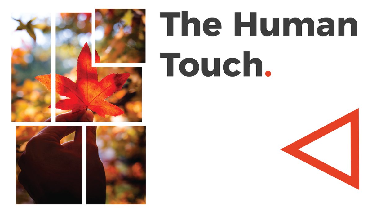 Motif (@decodingloyalty) on Twitter photo 