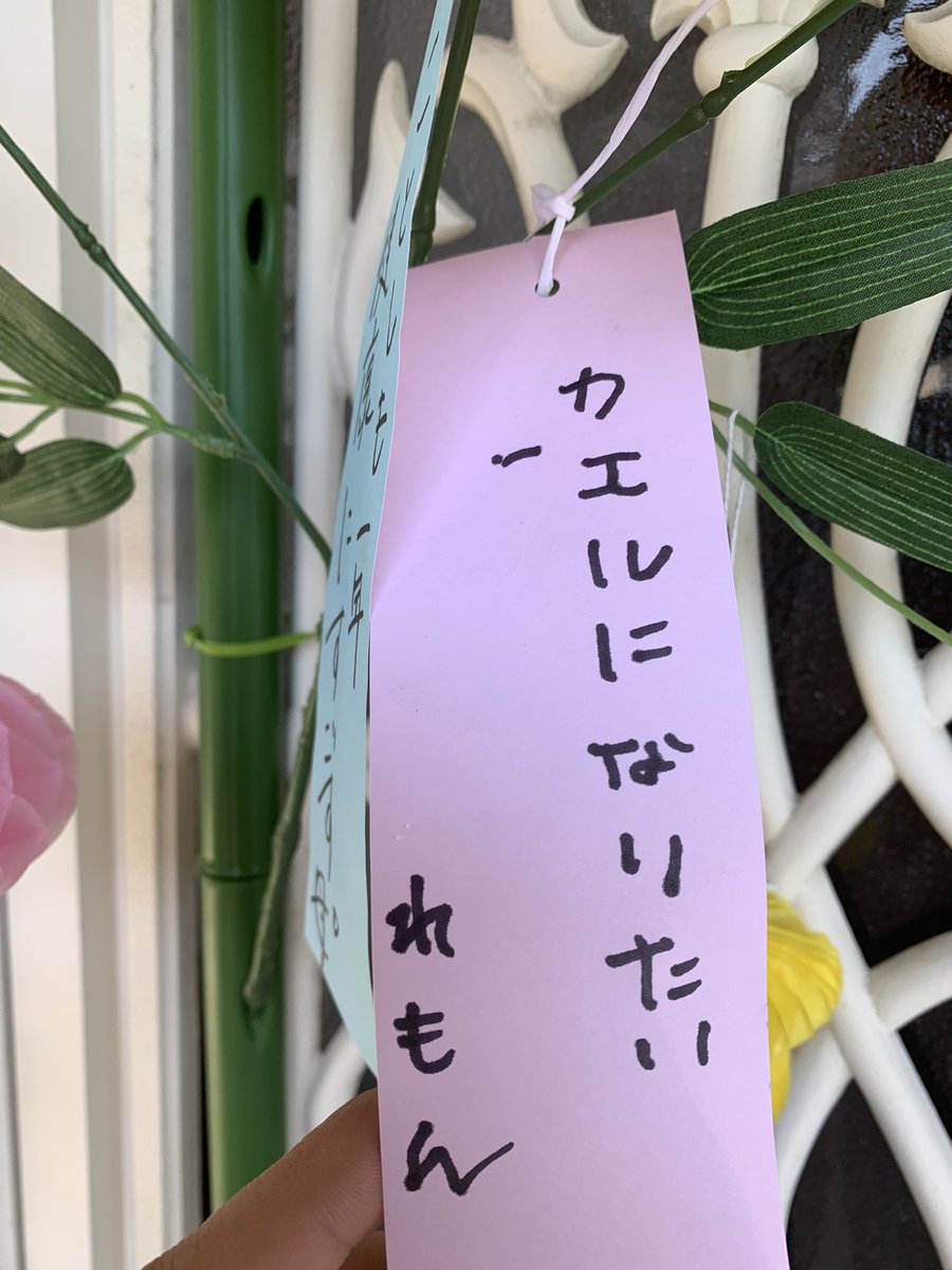 七夕の願い事 の例 大人編 25選 を5パターンでご紹介