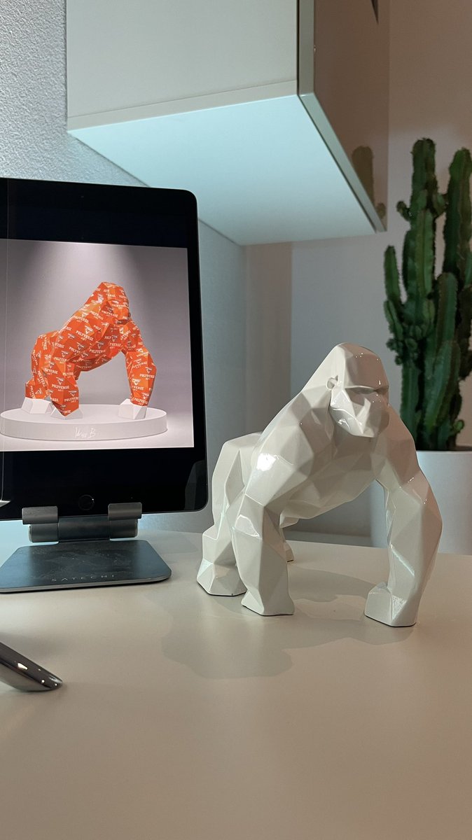 BlckMamba248's tweet image. @Polyverseart the first and just received this week end my amazing sculpture that goes with 🔥 @idrissbcom