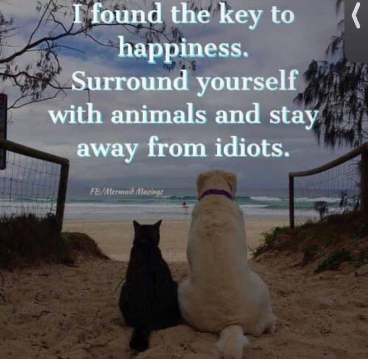 Bali_anka's tweet photo. 🐈‍⬛🐈🐕🐎🐄🐑🐘🐬
Animals are definitely without the gene of self destruction. They don't need Darwin Prize.
#decadence #PureHeart https://t.co/biYYj7mx1k